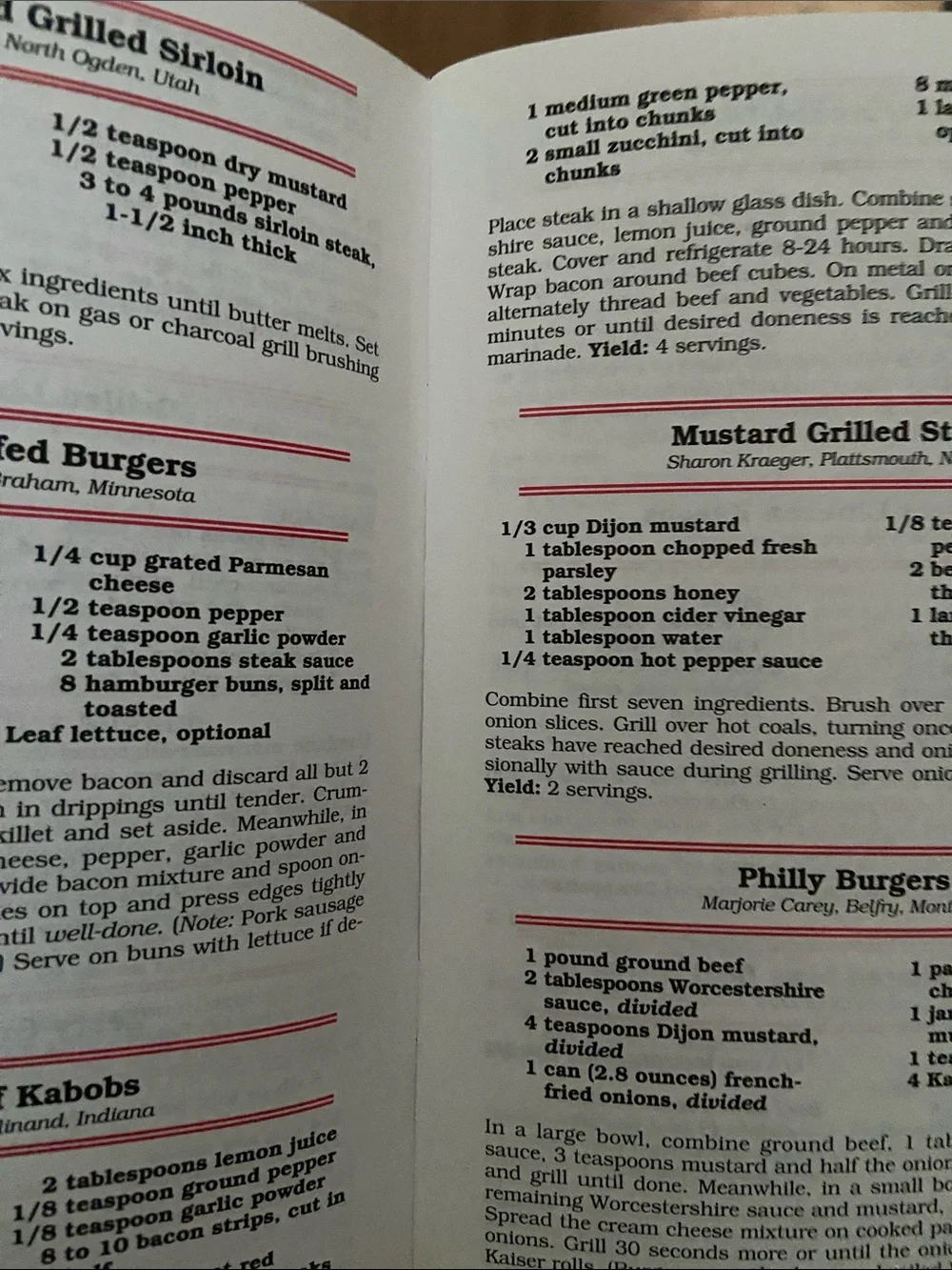 Vintage 90s 1990s Red Gingham checkered Picnic outdoor party cookbook recipes